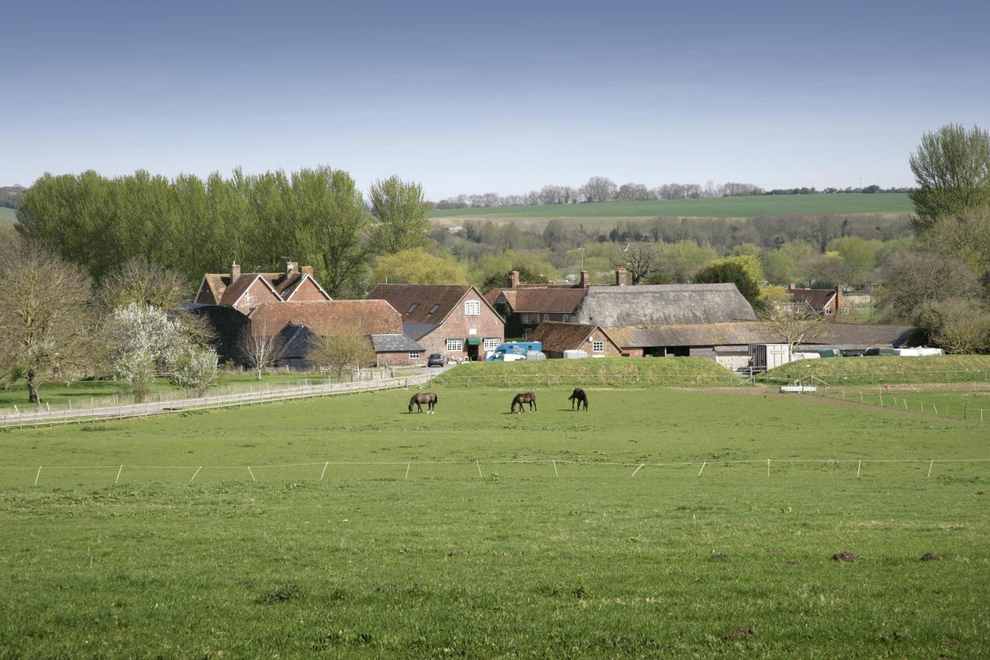 The Old Stables Self Catering Vila Salisbury Exterior foto